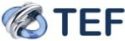 TEF NL small e1383298296249